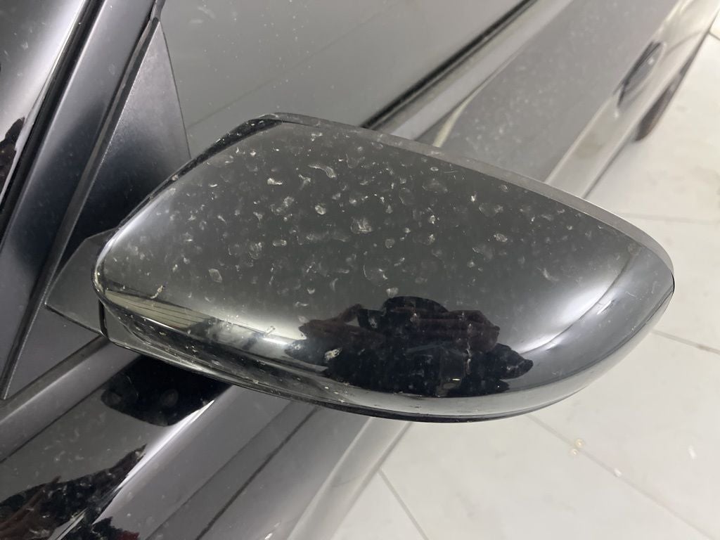 2019 Dodge Charger R/T