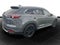 2021 Mazda Mazda CX-9 Carbon Edition